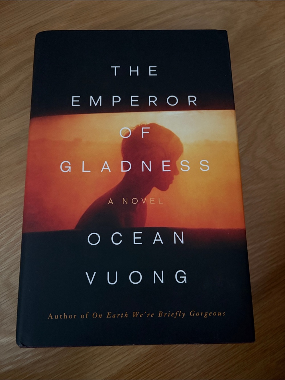 The Emperor of Gladness - Hardcover - Brand New